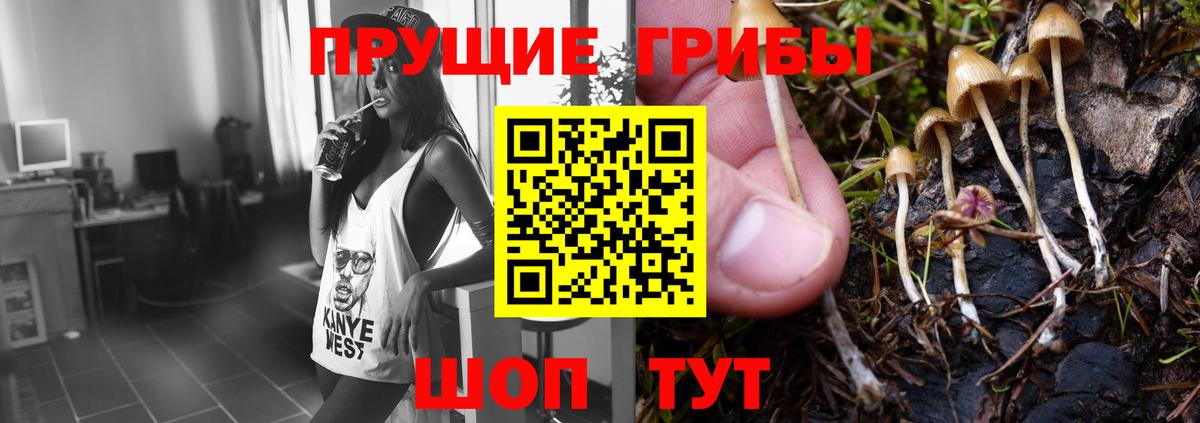 Галлюциногенные грибы прущие грибы  Вход с VPN  Гулькевичи 